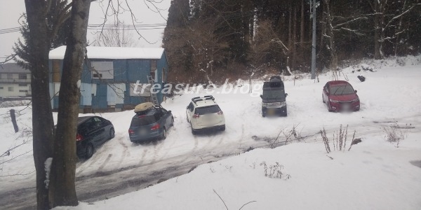 f:id:copucohana:20200211104058j:plain