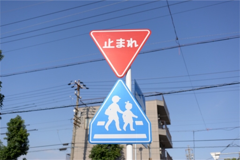 f:id:coral_y:20191106184256j:plain f:id:coral_y:20191106184256j:plain