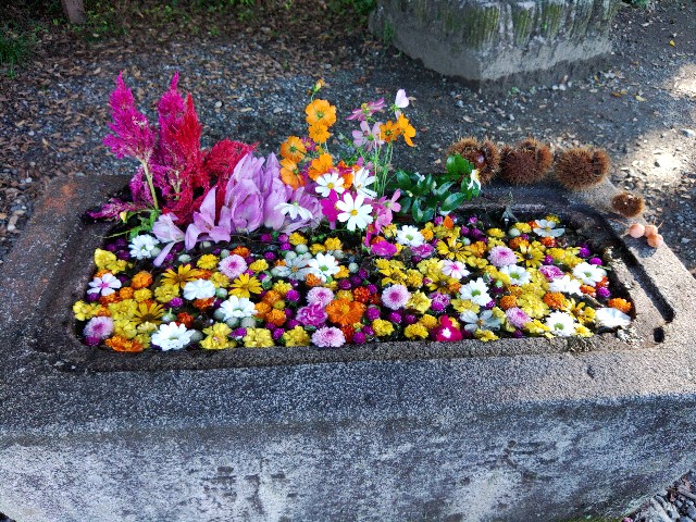 f:id:core-mama:20211004222555j:image