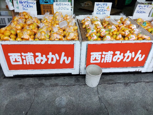 f:id:core-mama:20211019105811j:image