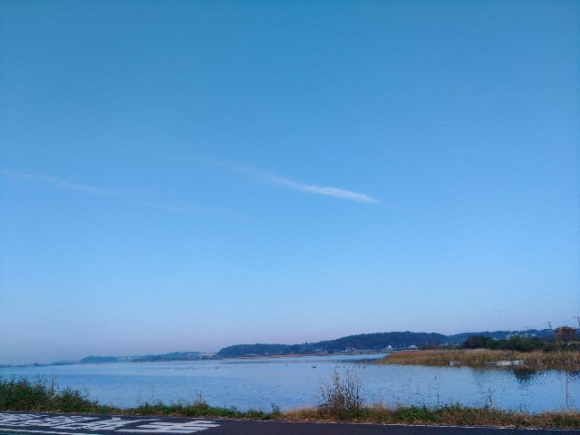 f:id:core-mama:20211105124024j:image