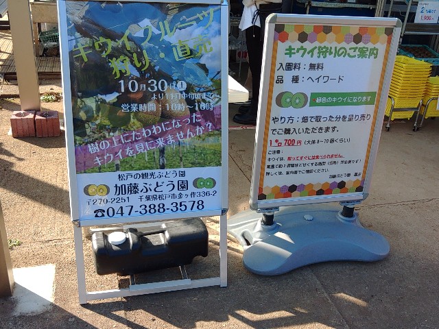 f:id:core-mama:20211105124355j:image