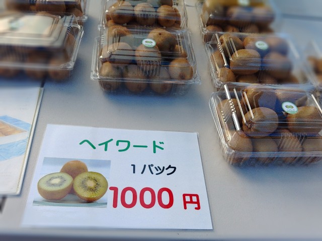 f:id:core-mama:20211105124425j:image