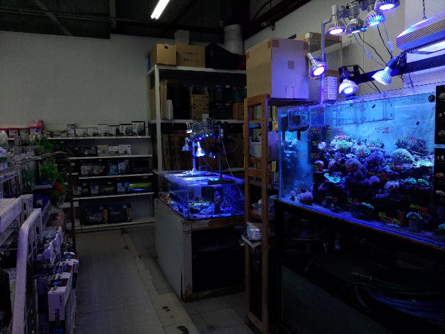 f:id:core-mama:20211208073233j:image