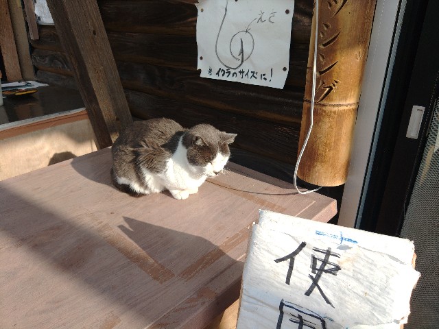 f:id:core-mama:20211213143833j:image