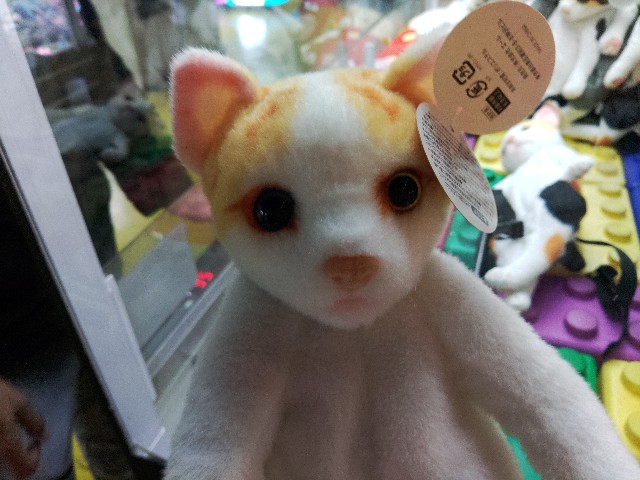 f:id:core-mama:20211213144149j:image