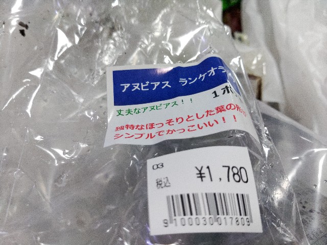 f:id:core-mama:20211213144431j:image