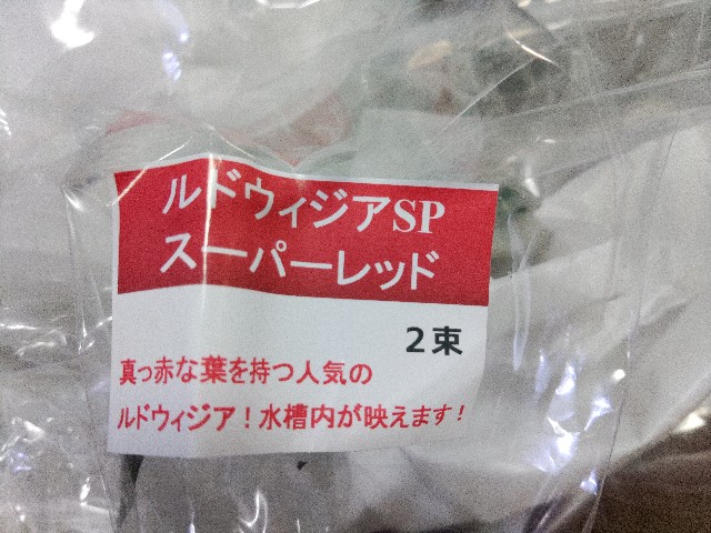 f:id:core-mama:20211213144454j:image
