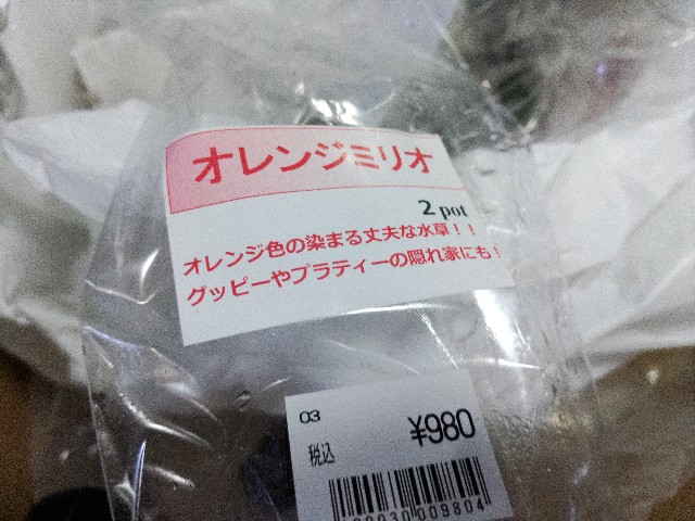 f:id:core-mama:20211213144512j:image