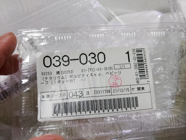f:id:core-mama:20211216171248j:image