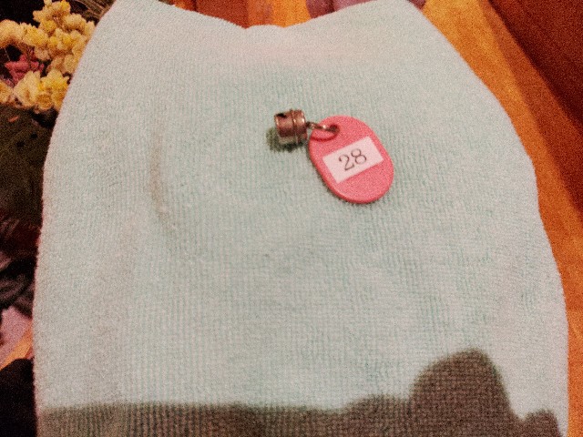 f:id:core-mama:20220107200237j:image