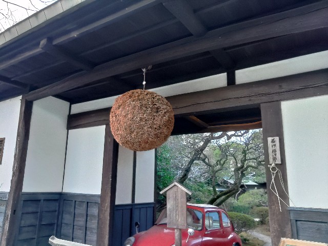 f:id:core-mama:20220111142804j:image