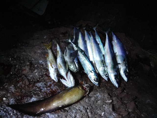 f:id:core-mama:20220201223457j:image f:id:core-mama:20220201223457j:image