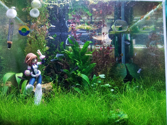 f:id:core-mama:20220201224334j:image