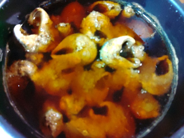 f:id:core-mama:20220201224358j:image