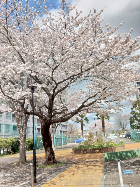 f:id:core-mama:20220414133020j:image f:id:core-mama:20220414133020j:image