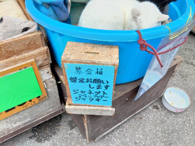 f:id:core-mama:20220418225343j:image