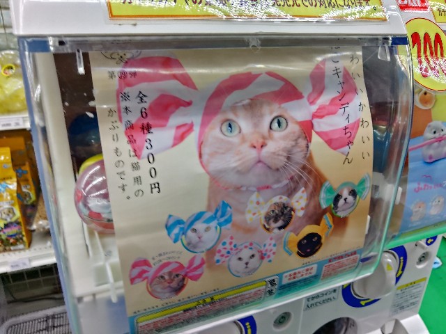 f:id:core-mama:20220418230402j:image