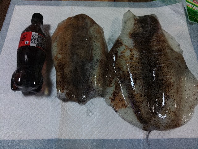 f:id:core-mama:20220524122554j:image
