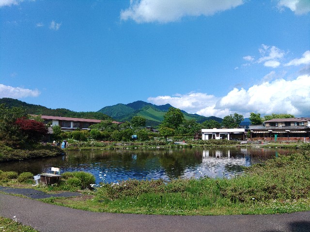 f:id:core-mama:20220621205237j:image