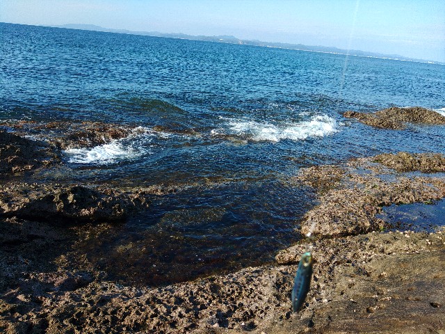 f:id:core-mama:20220711194916j:image