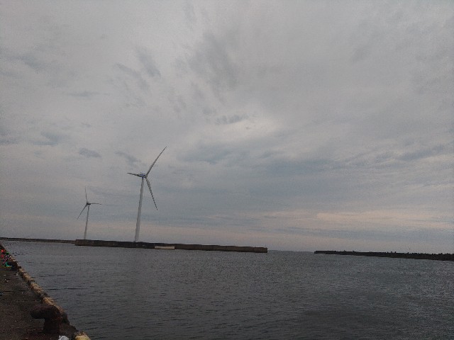 f:id:core-mama:20220711200258j:image