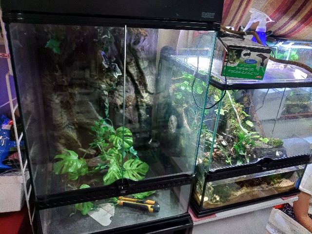 f:id:core-mama:20220727172517j:image