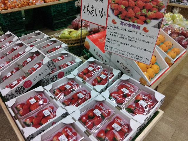 f:id:core-mama:20221121105144j:image