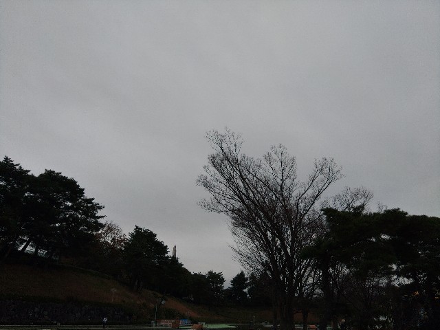 f:id:core-mama:20221206192928j:image