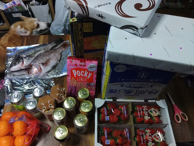 f:id:core-mama:20221213074123j:image