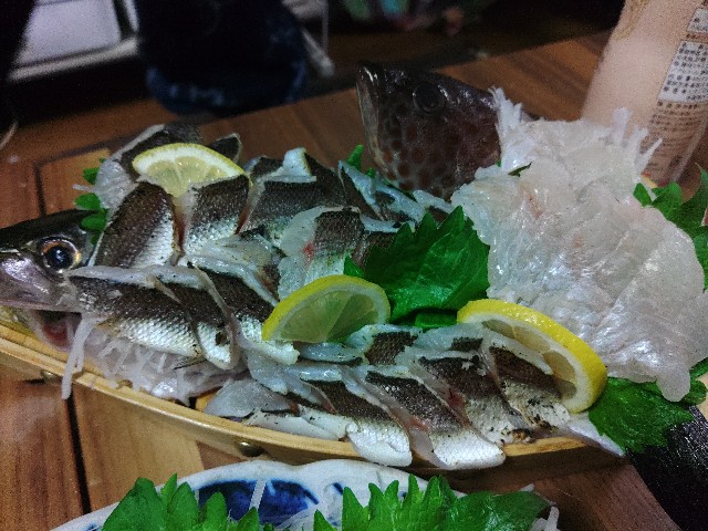 f:id:core-mama:20230115190800j:image