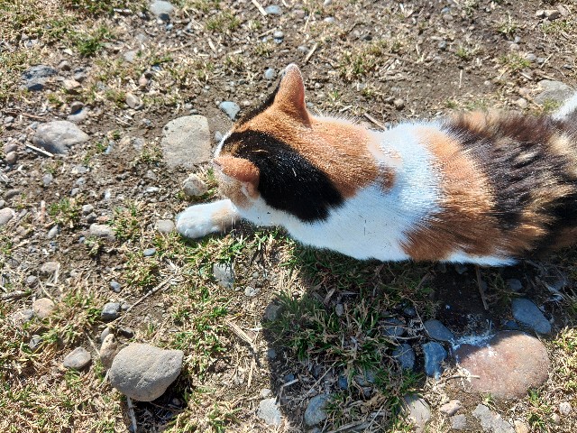 f:id:core-mama:20230214222405j:image f:id:core-mama:20230214222405j:image