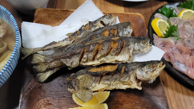 f:id:core-mama:20230214222655j:image