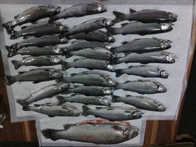 f:id:core-mama:20230324154721j:image