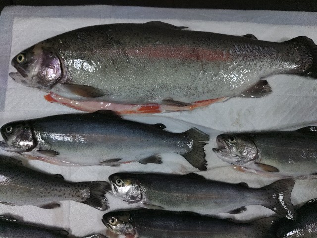 f:id:core-mama:20230324154811j:image