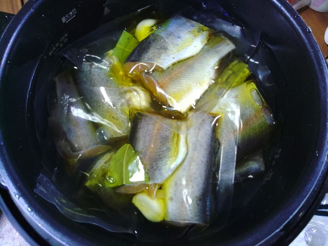 f:id:core-mama:20230324154916j:image