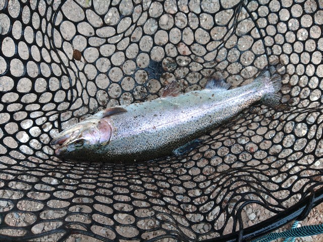 f:id:core-mama:20230621215255j:image