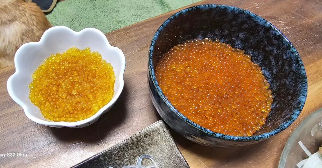 f:id:core-mama:20231025182726j:image