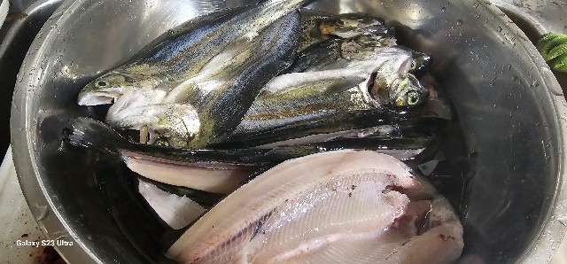 f:id:core-mama:20231025182838j:image