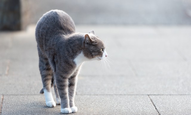 メモと運気 自分は色々 メンタル 心理 