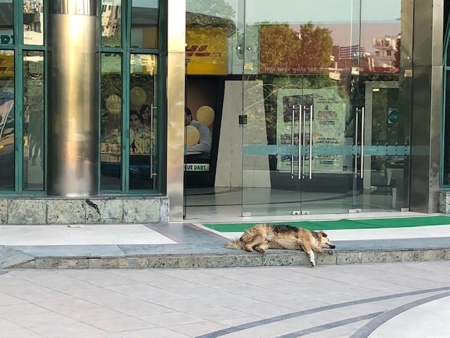 f:id:corecore009:20190424092036j:plain f:id:corecore009:20190424092036j:plain