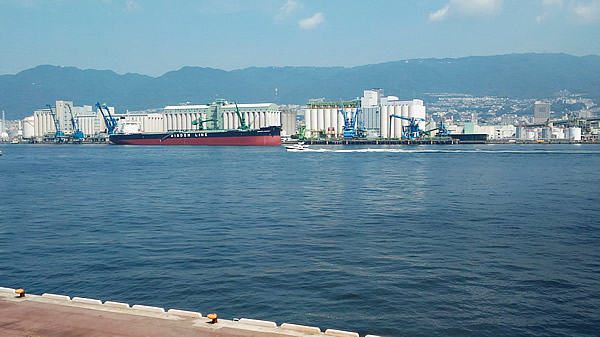 f:id:coregore:20180810150447j:plain f:id:coregore:20180810150447j:plain