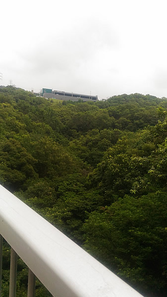 f:id:coregore:20190728184927j:plain