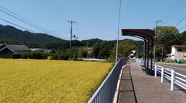 f:id:coregore:20190916162111j:plain