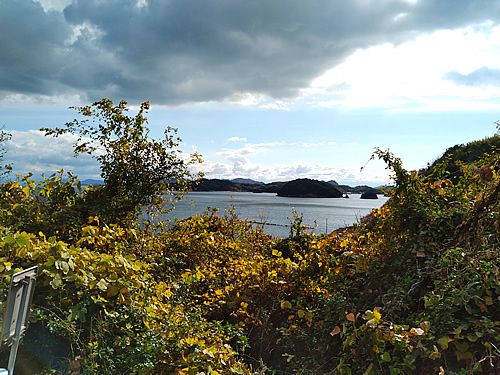 f:id:coregore:20201211232409j:plain