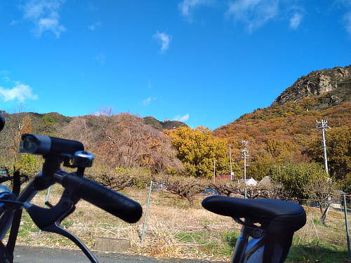 f:id:coregore:20211212203228j:plain