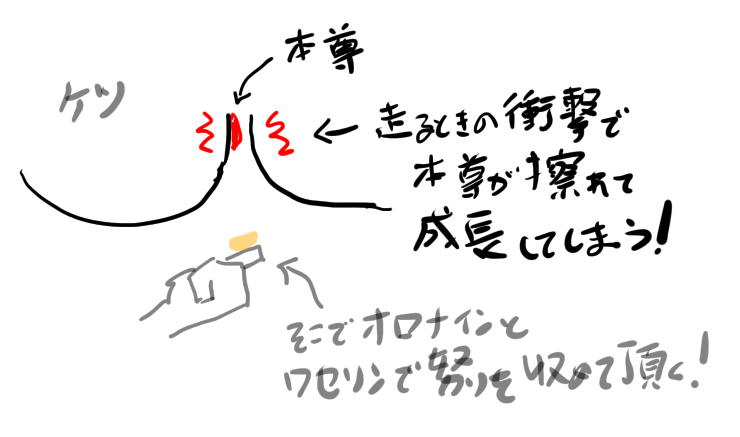 f:id:corgi-eric:20210426061032p:plain