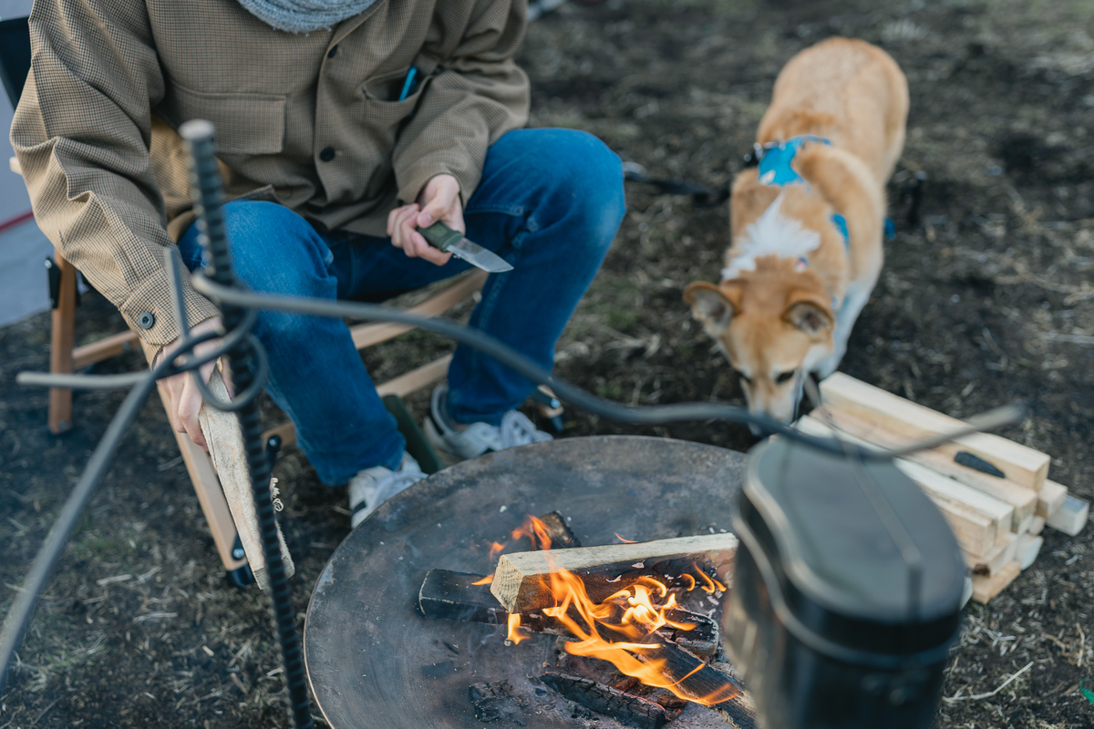 f:id:corgikotaro526:20210624104739j:plain