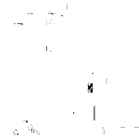 冩樂