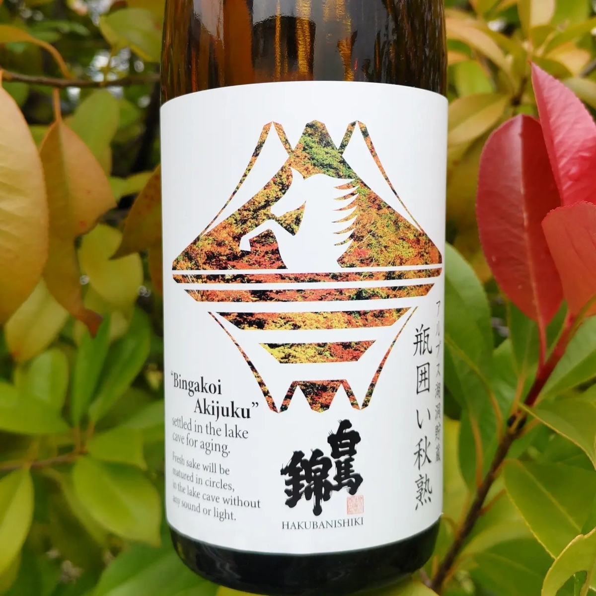 白馬錦